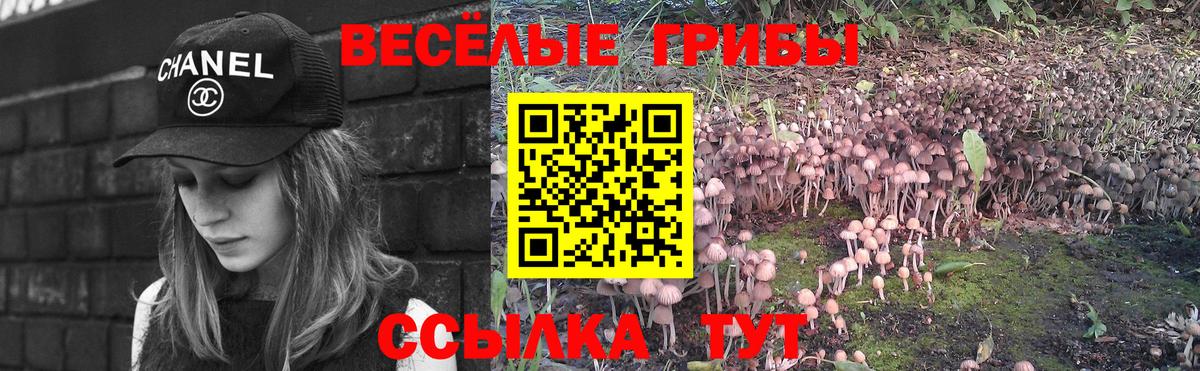 Галлюциногенные грибы Magic Shrooms Нижний Тагил