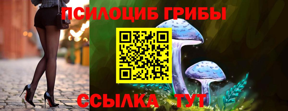 Нижний Тагил  Галлюциногенные грибы MAGIC MUSHROOMS  Вход с VPN  Псилоцибиновые грибы Psilocybe 